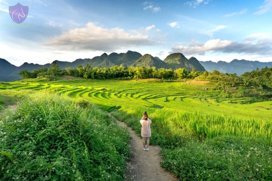 Luxury Bike Tour in Northern Vietnam 9 Days